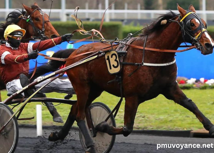 Les 3 Chevaux Incontournables