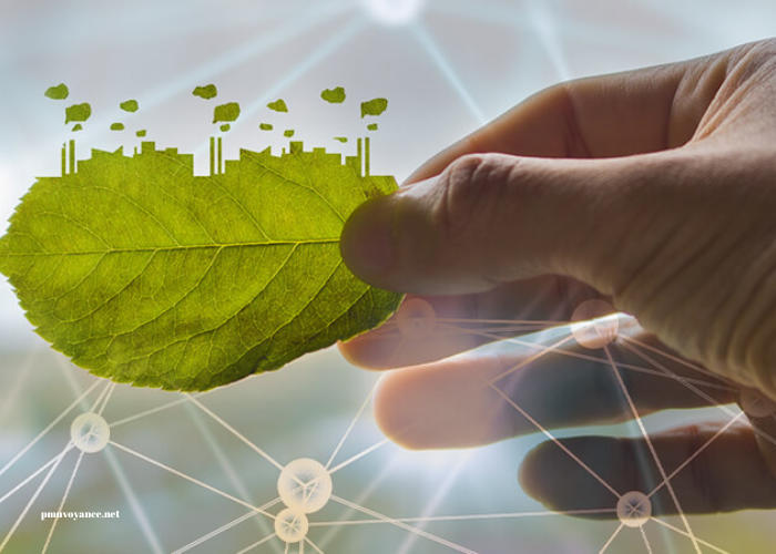 Sustainable Practices: The New Business Imperative