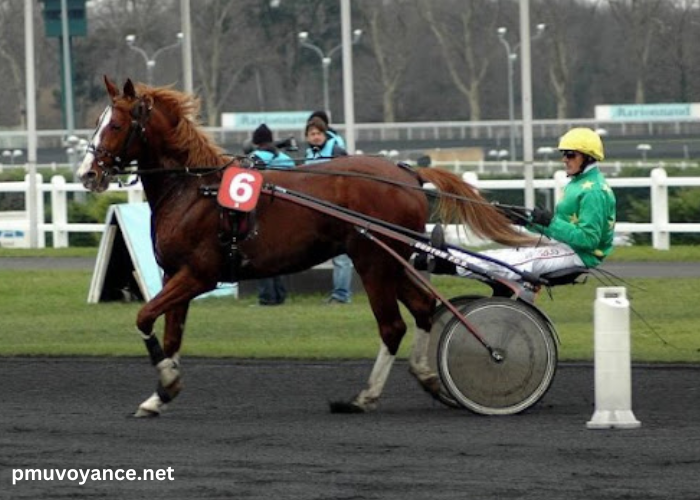 turf dernière minute