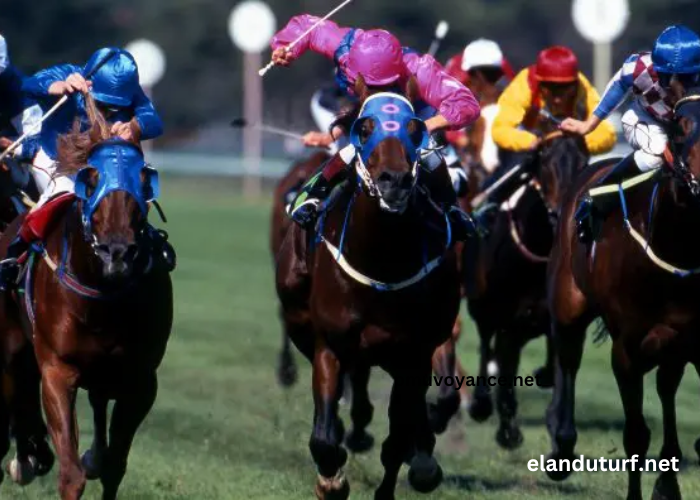 Societe Turf Trio