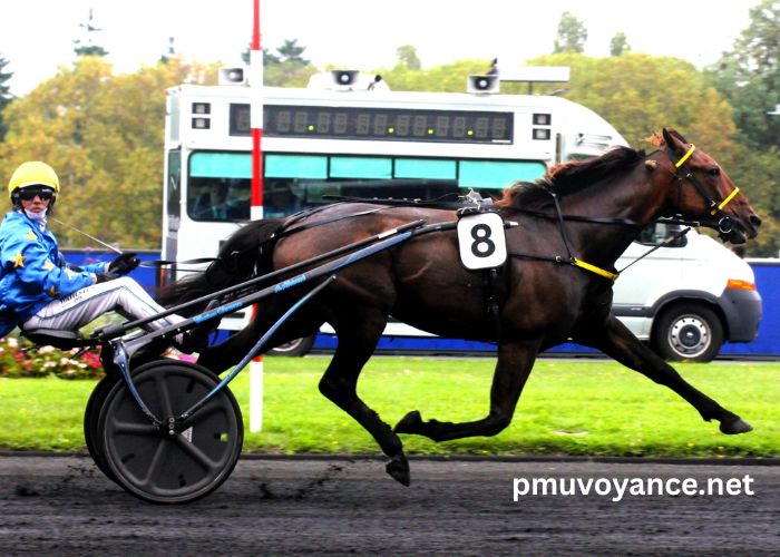 Jpgturf Vip Gratuit