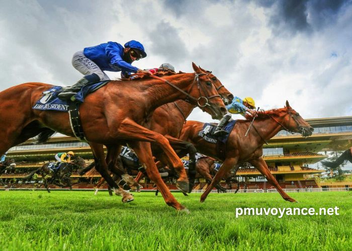 Le Gagnant Turf
