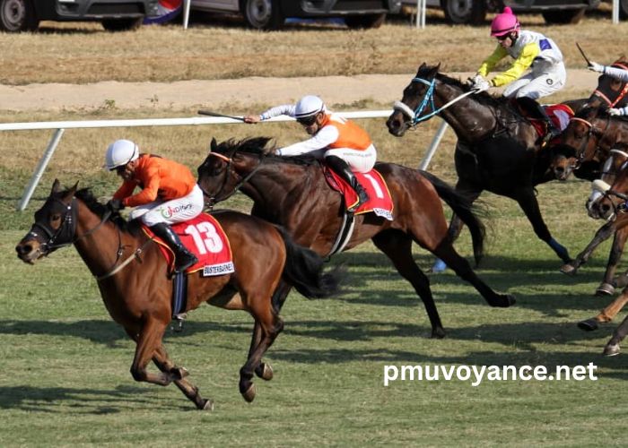Meilleur Pronostic 3 Chevaux (3)
