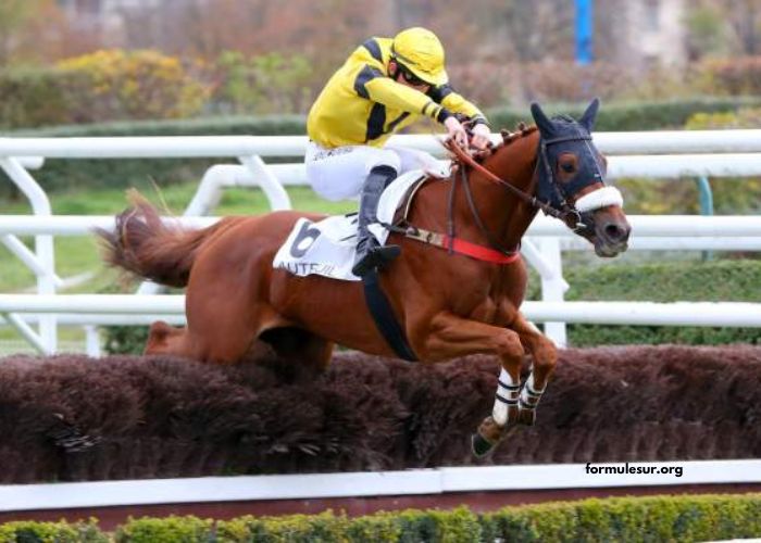 Expert Du Turf Pronostic Gratuit