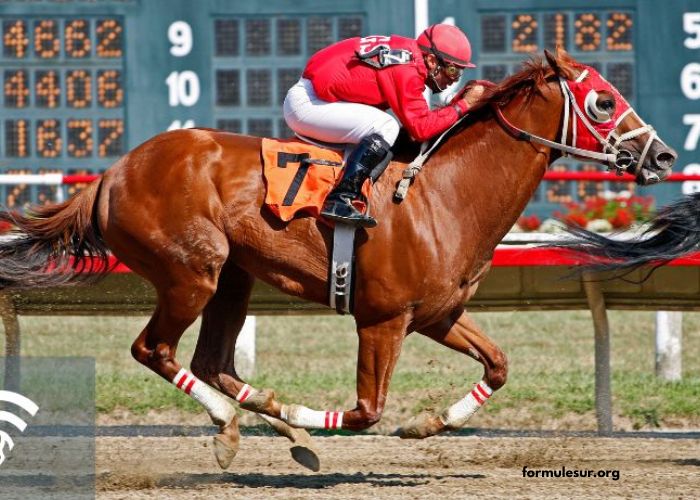 Indice de Forme in Horse Racing