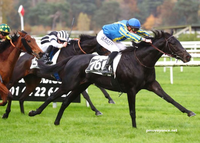 LA Richesse Turf Vip