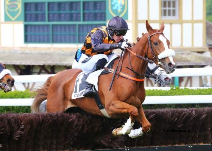 Legende Hippique Turf