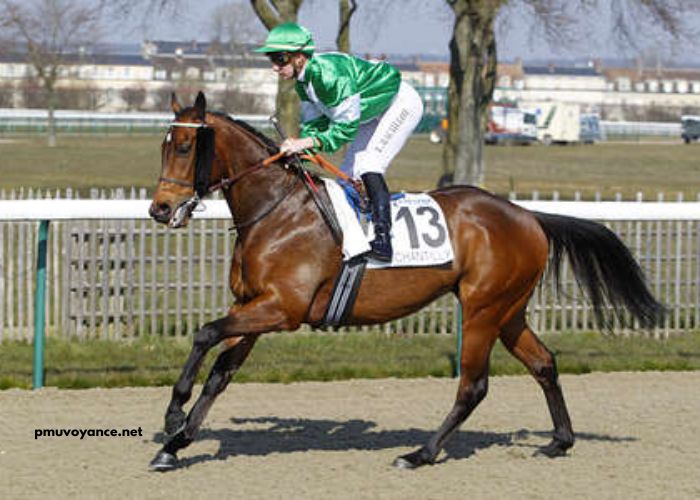 Roi Roi Du Tiercé