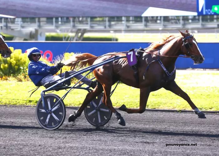 Passage Obligé 100 Gagnant Placé 3